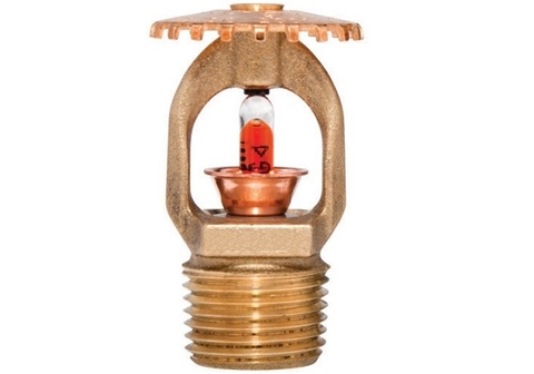 Đầu Phun Nước Chữa Cháy Hướng Lên Tyco Ty315 775709155+T, 1/2 Inch, K=5.6, 68°C