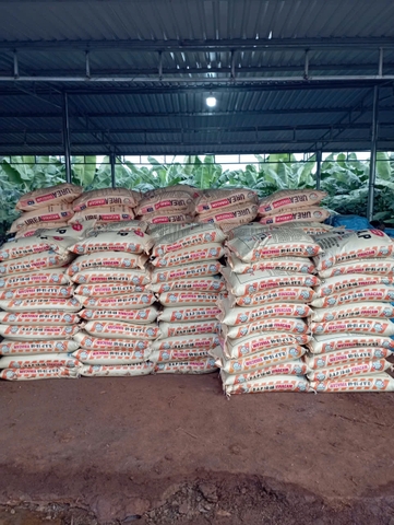 Phân Bón DAP Nga (Hạt đen)