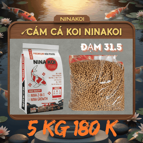 5 kg Bao trắng tăng size