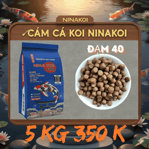 2, 5 kg Bao xanh siêu tảo