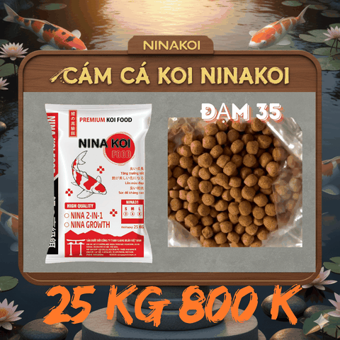 25 kg Bao trắng tăng size