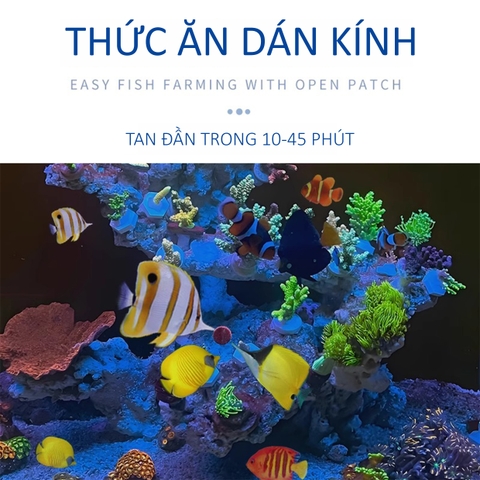 Thức Ăn Viên Dán Nibble Bits Herbivore – SFBB (USA) | Dành Cho Cá Biển Ăn Rong và Ăn Tạp