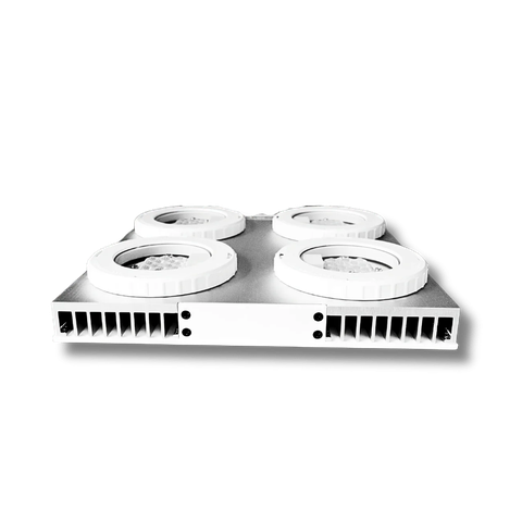 Đèn LED San Hô Illumagic X4 Limited Edition Platinum White