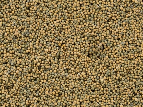 Mantis Bio Filter Block – Sứ Lọc Khối Vuông Diện Tích Bề Mặt Siêu Khủng