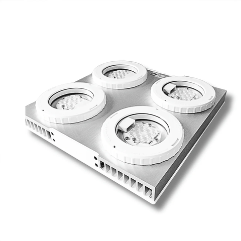 Đèn LED San Hô Illumagic X4 Limited Edition Platinum White