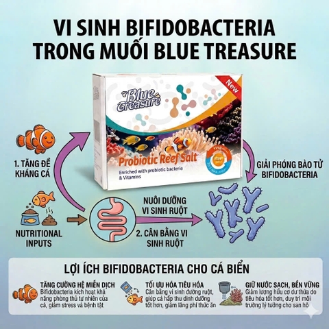 Muối Biển Blue Treasure Probiotic Reef Salt 10kg – Muối Vi Sinh Cao Cấp Cho Bể Cá Biển & Reef