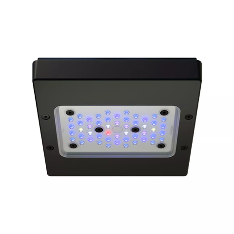 Đèn LED Radion XR15 G6 Blue - Công Nghệ Chiếu Sáng Tối Ưu Cho Hồ Cá Cảnh Biển
