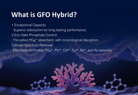 Zoox GFO Hybrid – Vật liệu giảm PO4 thế hệ mới cho bể cá biển san hô
