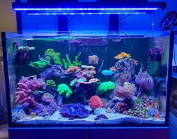 LEDBAR ZOOX ACTINIC SHINNER - BẢN CHIẾU GÓC