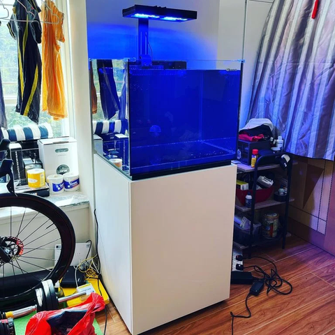 Bể Cá Biển 60cm – Tối Ưu Cho Môi Trường San Hô