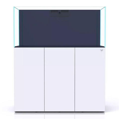 Bể Cá Biển 120cm – Giải Pháp Tối Ưu Cho Không Gian Sinh Động
