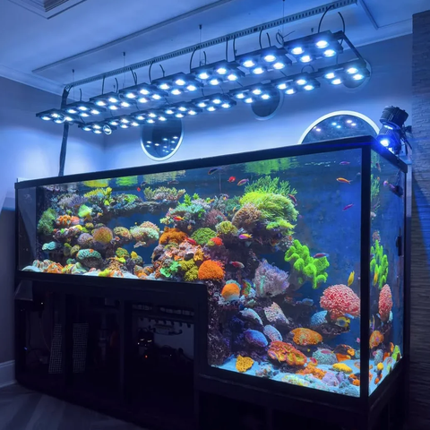 Đèn LED San Hô Cao Cấp Illumagic X4 (Wifi / Bluetooth) - Bảo Hành 2 Năm