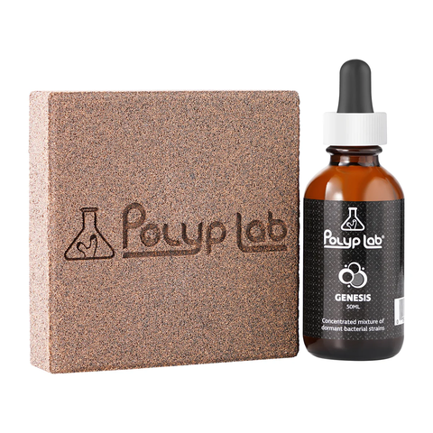 Polyplab Genesis Rock Booster – Vật Liệu Lọc Cho Bể Cá Biển; Nước Ngọt
