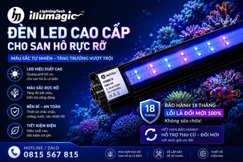 Illumagic Vitamini Strip – Đèn LED bổ trợ hoàn hảo cho bể cá biển và san hô