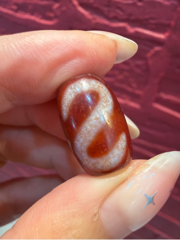 Tiny huyết móc tiền