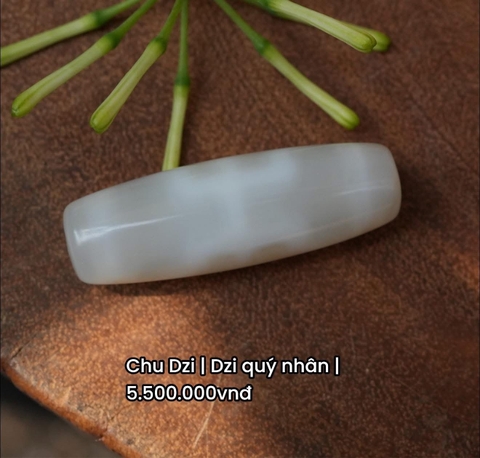 Chu Dzi quý nhân - bạch tuyết