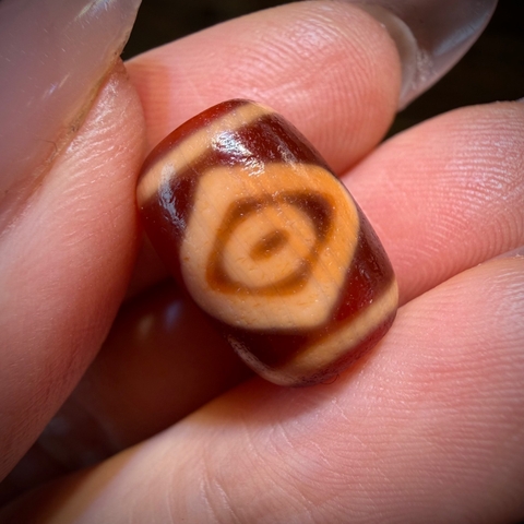 Tiny 2m HHC
