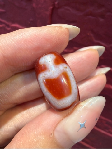 Tiny huyết bảo bình