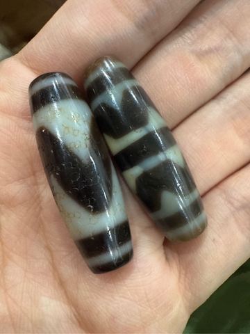 Dzi nanh cọp thân ngọc