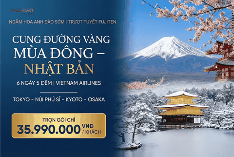 Bản Tình Ca Mùa Đông: Cung Đường Vàng & Tuyết Trắng Phú Sĩ