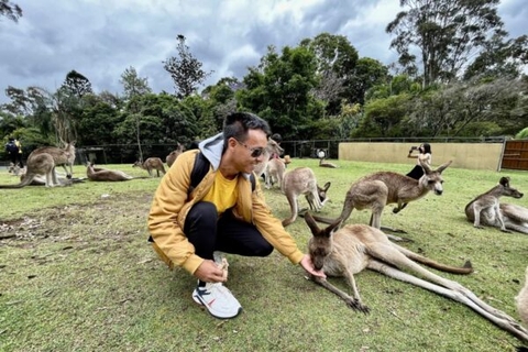 18 ngày phiêu lưu cùng Vinharound đến Úc và New Zealand