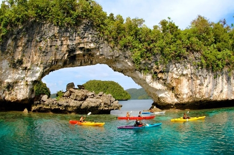 Palau: Khám Phá Thiên Đường Đại Dương Tuyệt Mỹ – Hành Trình Lặn Biển & Khám Phá Đảo Xanh