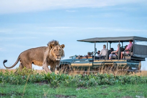 Khám Phá Vườn Quốc Gia Liuwa Plain – Thiên Đường Hoang Dã Bất Tận