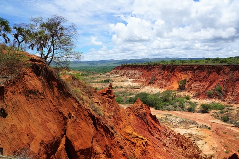 Madagascar Baobabs & Beyond