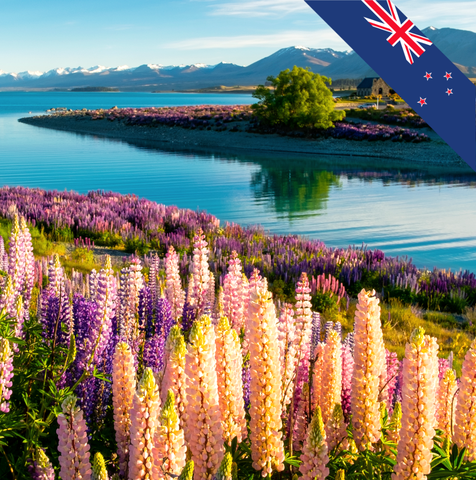 Visa Du Lịch New Zealand