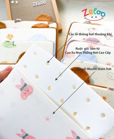 Gối cao su non Zeloo thông hơi 36x20x2.4