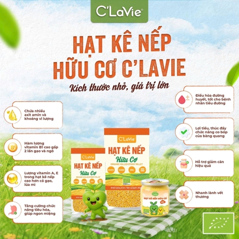 Hạt kê nếp hữu cơ C’LaVie 110g