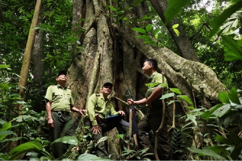 KHÁM PHÁ VƯỜN CÚC PHƯƠNG