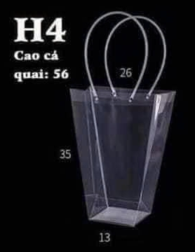 Túi H4