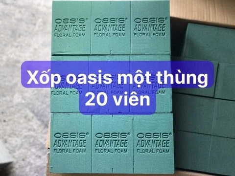 Xốp Cắm Hoa Oasis