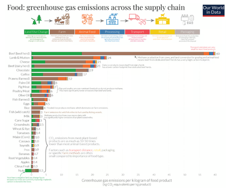 ✍️ Carbon Footprint Của Các Hãng Xe: Ai Dẫn Đầu Cuộc Đua Net Zero Sớm Nhất?