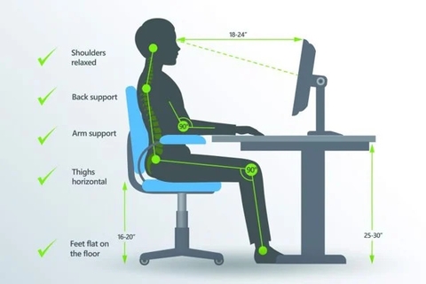 Phân Tích Chuyên Sâu Chỉ Số H-Point (Hip Point)