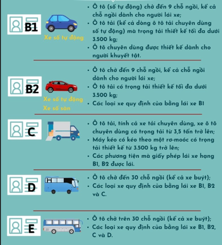 Các Hạng Bằng Lái Xe Ô tô: Hướng Dẫn Chi Tiết