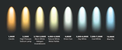 Kí Hiệu K Trong Đèn LED Bi Cầu Là Gì? Giải Mã Nhiệt Độ Màu Kelvin Quyết Định An Toàn Chiếu Sáng Ô Tô