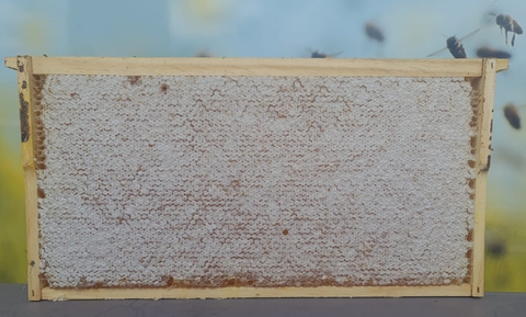 Mật ong cao cấp là mật ong như thế nào