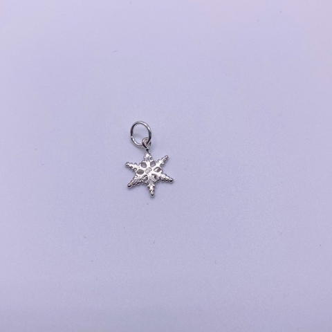 Charm Bạc 925 De Luna