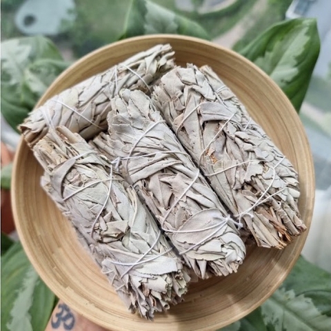 Sage Thanh Tẩy De Luna