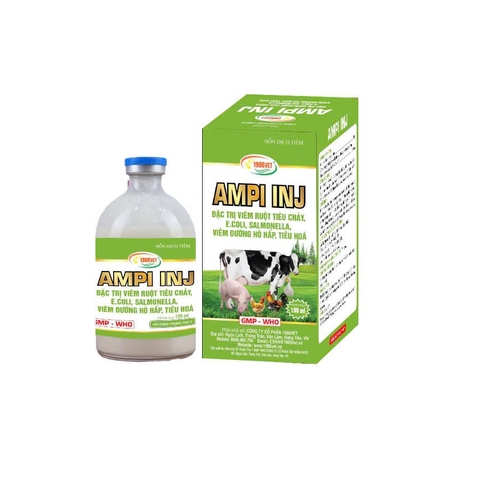 AMPI INJ (AMPI-COLI)100mL