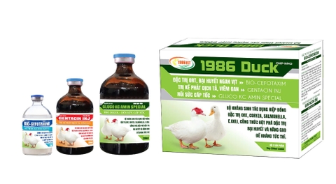 1986 DUCK bộ 3 của vịt