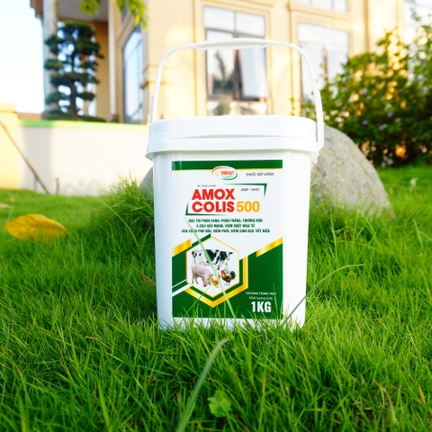 AMOX COLIS 500 1KG