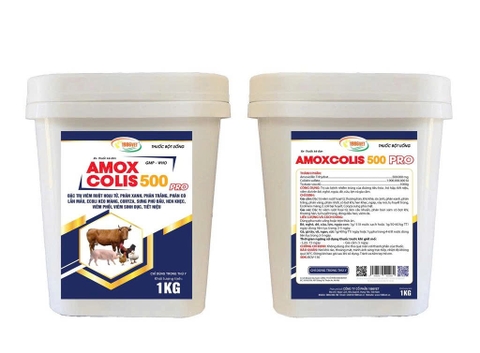AMOX COLIS 500 Pro