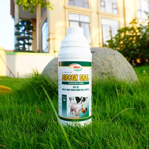 BIOCOX ORAL 1lit