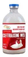 CEFTRIAXONE WS 5g của vịt