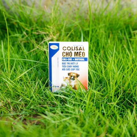 COLISAL CHÓ MÈO (COLI-COX + BIOTOSAL)10mL