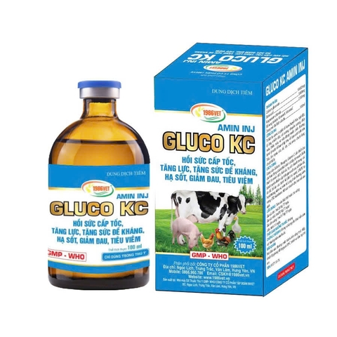 GLUCO KC AMIN INJ