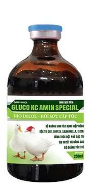 GLUCO KC AMIN INJ (BIO DECOL) 250mL
